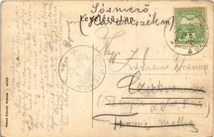 1907 Lugos, Lugoj; Spanyol malom. Nemes Kálmán kiadása / Spanish mill (EK)