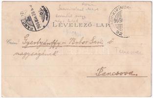 1905 Nagyszentmiklós, Sannicolau Mare; Náko utca, Sörfőzde, sörgyár, városháza, Czenzinger szálloda,...