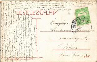 1910 Nagyszentmiklós, Sannicolau Mare; Fő tér, Kiss György üzlete, szobor. W.L. Bp. 2110. Wiener Nát...