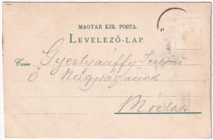 Temesvár, Timisoara; Kloster Josefstadt, Cadetten Schule, Realschule, Buchhandlung Corvina, Comitats...