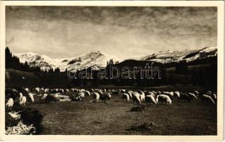 Bucsecs-hegység, Butschetsch, Muntii Bucegi; Heimkehr von den Bergen / erdélyi folklór / Transylvanian folklore. Foto orig. J. Fischer 1940.