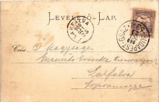 1900 Tata-Tóváros, Tatatóváros; Angolkerti vasútállomás. Strausz Jakab kiadása + "BUDAPEST-GRAZ...