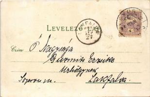 1900 Győr, Felső kereskedelmi iskola, Rába híd. Gregor Fischer Art Nouveau, floral