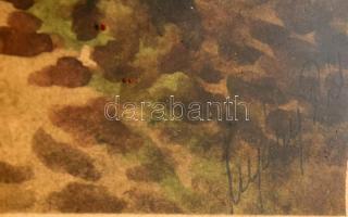 Nyáregyházi báró Nyáry Pál (?-?): Erdőrészlet. Akvarell, papír. Jelzett. Üvegezett, sérült fakeretbe...