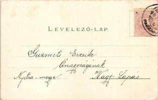 1899 (Vorläufer) Nyitra, Nitra; Vártemplom, Sátortábor, laktanya, gimnázium, Milleniumi emlék szobor...