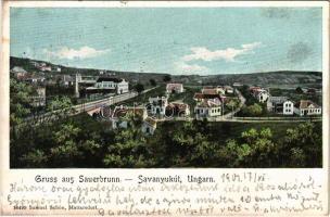 1901 Savanyúkút, Sauerbrunn; Samuel Schön