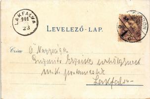 1901 Savanyúkút, Sauerbrunn; Samuel Schön