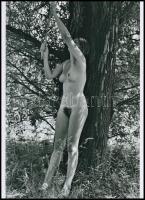 cca 1979 ,,Tarzan várj meg! - szolidan erotikus felvétel, 1 db modern nagyítás, 21x15 cm