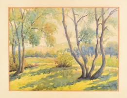 Bundschun Ottó (1885-?): Táj. 1933. A Műcsarnok 1934-es téli tárlatán szerepelt címkével. . Akvarell, papír, jelzett, 30x40 cm