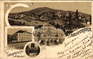 1898 (Vorläufer) Savanyúkút, Sauerbrunn; J. Pinesithz Bellevue szállodája és kávéháza, étterem belső, forrás kút / Hotel und Cafe, Speisesaal, Quelle, Interior. Hans Nachbargauer Art Nouveau, floral, litho (fl)