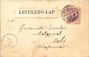 1898 (Vorläufer) Savanyúkút, Sauerbrunn; J. Pinesithz Bellevue szállodája és kávéháza, étterem belső...