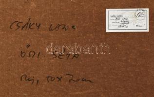 Csáky Lajos (1950-): Őszi séta. Olaj, farost, jelzett, hátoldalán autográf felirattal és címkén feli...