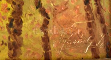 Nyárády jelzéssel, működött 1920-40 körül: Rákoscsabai táj. Olaj, vászon. Hátoldalán töredékes Nemze...