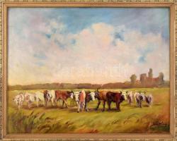 Iván Károly (?-): Legelésző tehenek. Olaj, vászon, jelezve jobbra lent. Dekoratív, sérült fakereteben. 54×70 cm