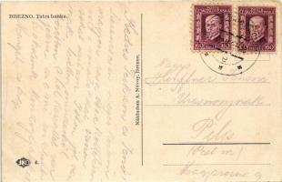 1929 Breznóbánya, Brezno nad Hronom; Tátra Bank, üzlet / bank and shop (EK)