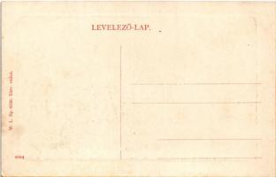 Albertirsa, Albert-Irsa; Elemi fiú és leány iskola. W.L. Bp. 6556. 9094