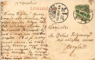 1906 Debrecen, Piac utca, villamossínek, Szálloda az Arany Bikához, Lusztig Károly üzlete, Évszázado...