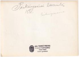 1938 Párkány, Stúrovo; bevonulás, "Éljen Horthy! Mindent vissza! Győzött Magyarország!" dí...