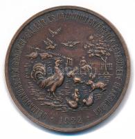 1922. Délmagyarországi Baromfi- Galamb és Házinyúltenyésztők Egyesülete Békéscsaba / Az érdem jeléül bronz érdemérem (41mm) T:AU