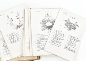 Lokalizáció (Bohm), 10 db fekete-fehér illusztrációkkal ellátott, számozott karton tábla, félvászon-...