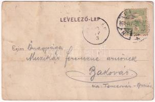 1903 Pécs, Bánya telep, fatelep. Fürst Lipót kiadása (fa)