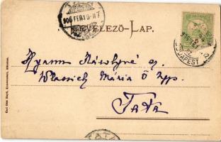 1906 Somogytarnóca, Somogy Tarnócza (Barcs); Gróf Széchenyi kastély. Gróf Széchenyi Jenőné levele (E...