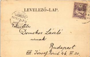 1900 Szeged, színház. Art Nouveau (EK)