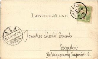 1902 Nagykőrös, Arany János lakóháza (szakadás / tear)