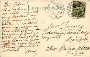 1907 Visegrád, Gizella-telep fürdő vízgyógyintézet kikötője, "IZABELLA" gőzüzemű csavaros ...
