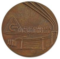 Búza Barna (1910-2010) ~1970. Eredményes szolgálatért öntött bronz érdemérem, hátoldalán névre szóló gravírozással (96mm) T:AU