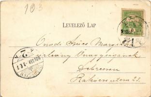 1906 Arad, Erzsébet királyné (Sissi) szobra / monument, statue of Empress Elisabeth of Austria (Sisi...