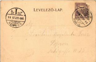 1900 Marosvásárhely, Targu Mures; Székelyföldi Iparmúzeum. Holbach E. kiadása / Transylvanian crafts...