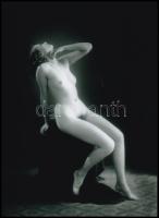cca 1928 Demeter Károly (1892-1983) budapesti fényképész és fotóművész hagyatékából 1 db modern nagyítás, 21x15 cm