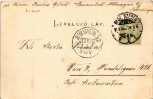 1904 Nagyszeben, Hermannstadt, Sibiu; Heltauergasse / Disznódi utca, Julius Wermescher üzlete, Hotel...