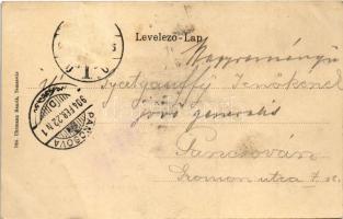 1904 Temesvár, Timisoara; Állami felsőbb leányiskola park részlettel. Uhrmann Henrik kiadása / girls...