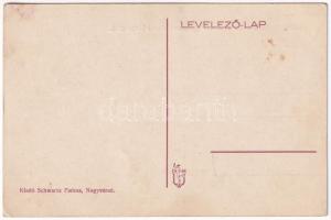 Nagyvárad, Oradea; Schwartz Farkas-féle áruház üzlete és saját kiadása, Szent János utca / street, s...