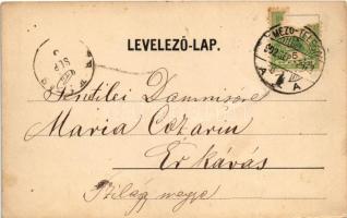 1902 Belényes, Beius; Süssmann Lázár kiadása (EK)