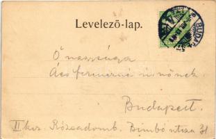 1909 Budapest VIII. Központi szálloda, étterem és kávéház a Baross téren, Gerenday A. és fia üzlete....