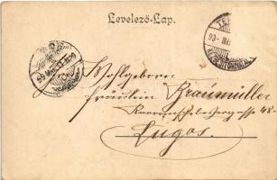 1899 (Vorläufer) Temesvár, Timisoara; látkép zsinagógával. Kossak József fényképész kiadása / genera...