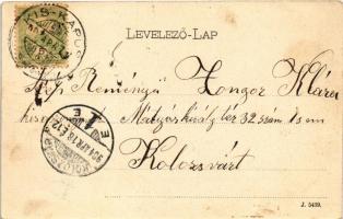 1904 Kiskapus, Kis-Kapus, Kleinkopisch, Copsa Mica; evangélikus és római katolikus templom. fritz Gu...