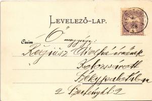 1900 Beszterce, Bistritz, Bistrita; Megyeház, Rudolf Löbl üzlete. M. Binder kiadása / Comitatsgebäud...
