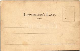 Buziás, Bernhardt nyaraló / villa (ázott / wet damage)