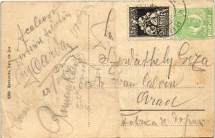 Alváca, Vata de Jos; gyógyfürdő, bejárat a parkba. Berkovits kiadása / spa, entry to the park (fa)