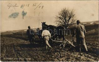 1918 Szántás. Dr. Kollarits József főhadnagy. Hadifénykép Kiállítás, A Hadsegélyező Hivatal kiadványa / WWI Austro-Hungarian K.u.K. military, soldiers help with the ploughing (Rb)