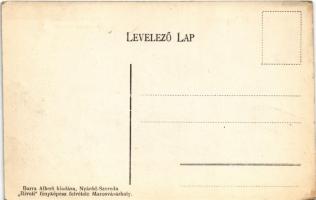 Nyárádszereda, Miercurea Nirajului; Református templom, szolgabírói hivatal, Steiner Emánuel üzlete....