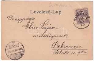 1901 Tiszolc, Tisovec; Tiszolc-Erdőközi fogaskerekű vasút, Fenyves vasútállomás, Csertovai és Tesna ...