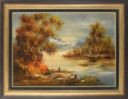 Bubelényi László (1953-): Felső-Tisza. Olaj, farost, jelzett, hátoldalán címkén feliratozott. Dekoratív fakeretben. 50x70 cm