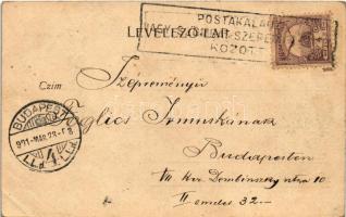 1901 Nagyszombat, Tyrnau, Trnava; Szeminárium utca / street + "POSTAKALAUZ NAGY-SZOMBAT-SZERED-...