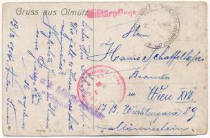 1916 Olomouc, Olmütz; Nordmährerblatt. Gruss aus Olmütz / boy with newspaper, leporellocard (empty i...