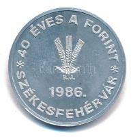 1986. "MÉE ALBA REGIA NUM. CSOP. / 40 éves a forint - Székesfehérvár" Al emlékérem (40mm) ...